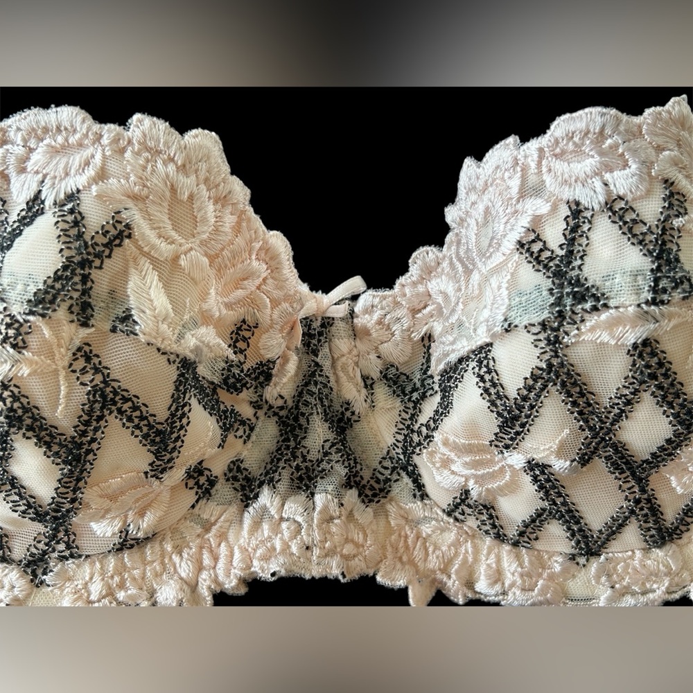 Lise Charmel Vintage Lace Floral Embroidery Demi Bra 34B France Couture - Picture 7 of 13